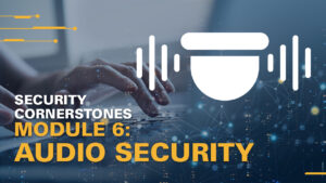 Security Cornerstones: Audio Security Applications and Fundamentals